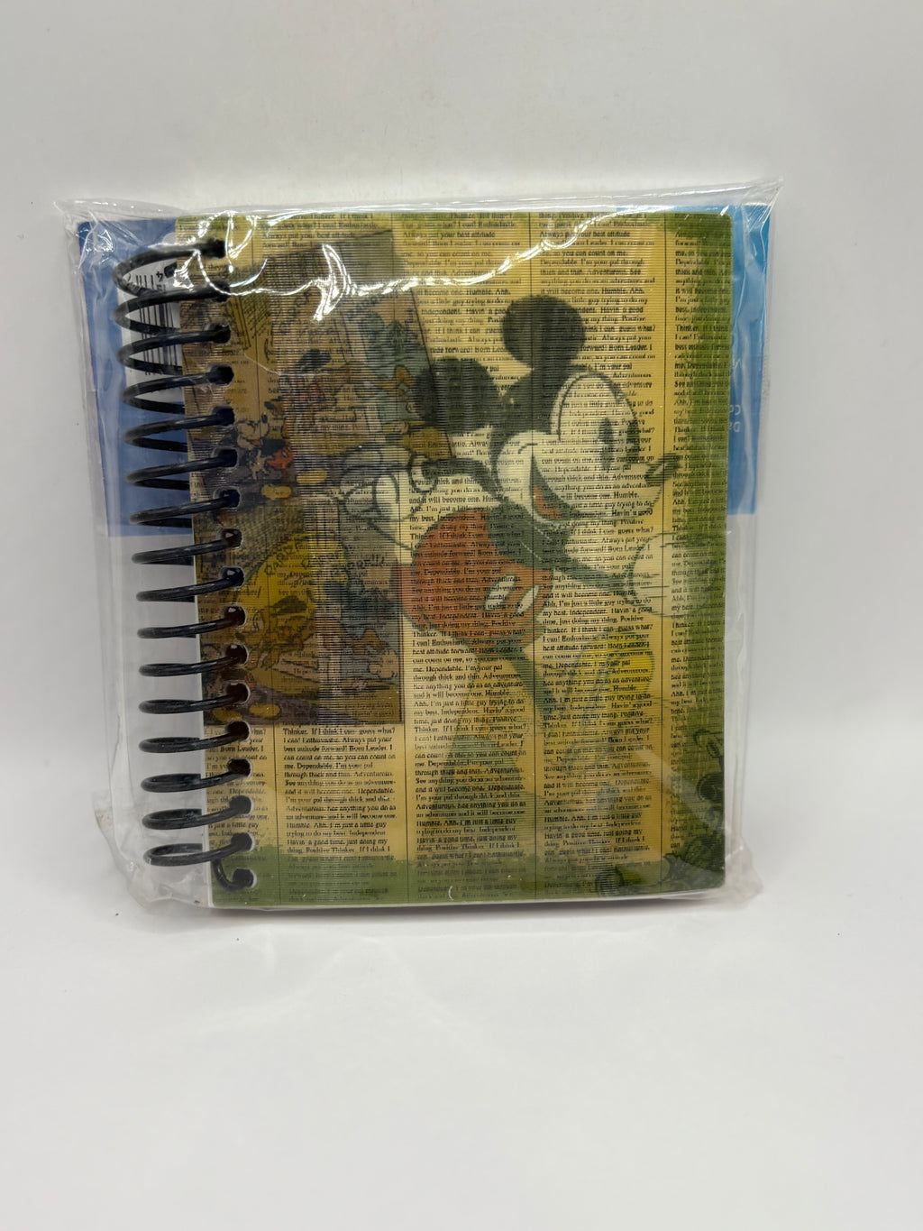 Mickey Spiral Journal