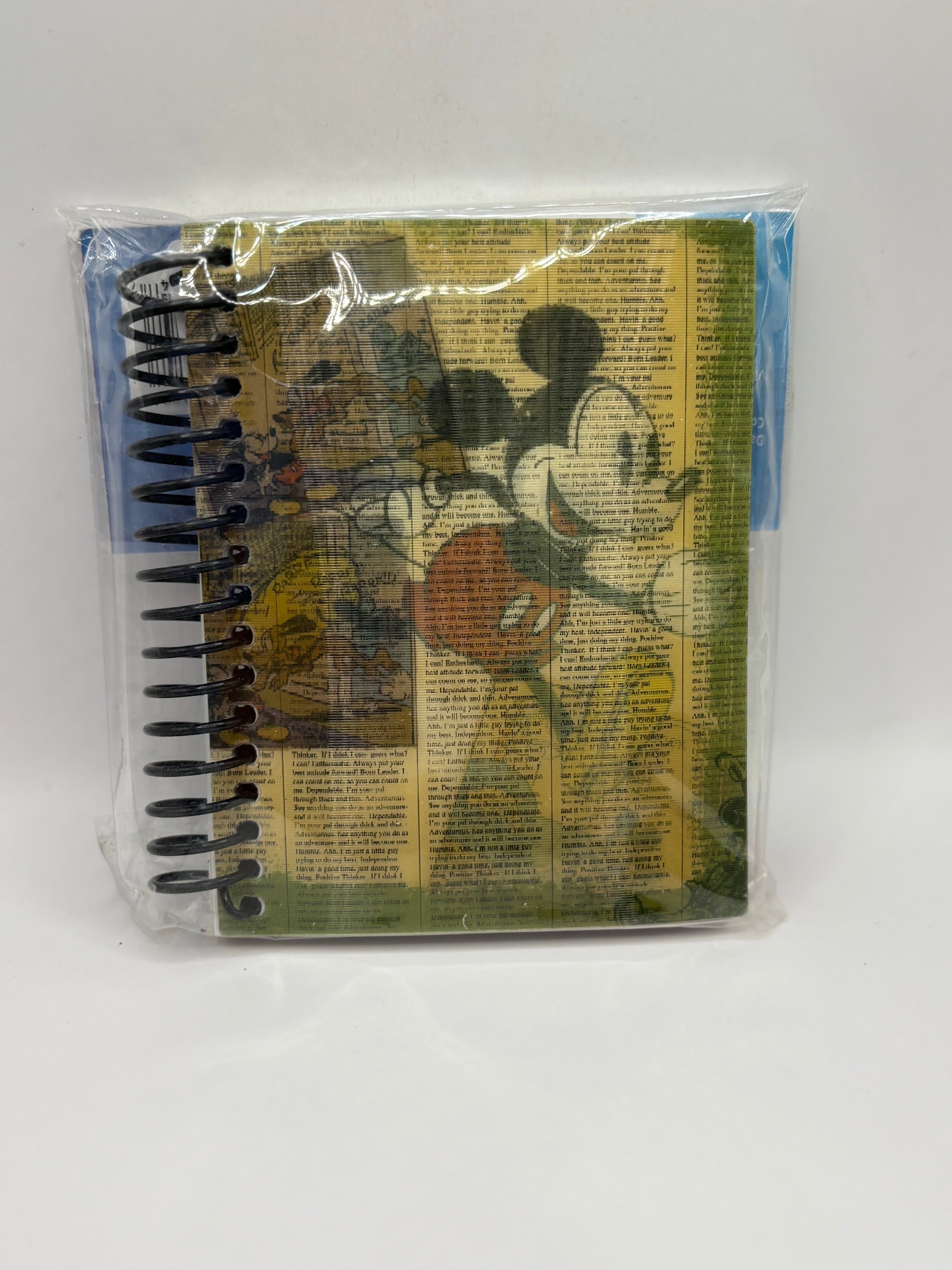Mickey Spiral Journal