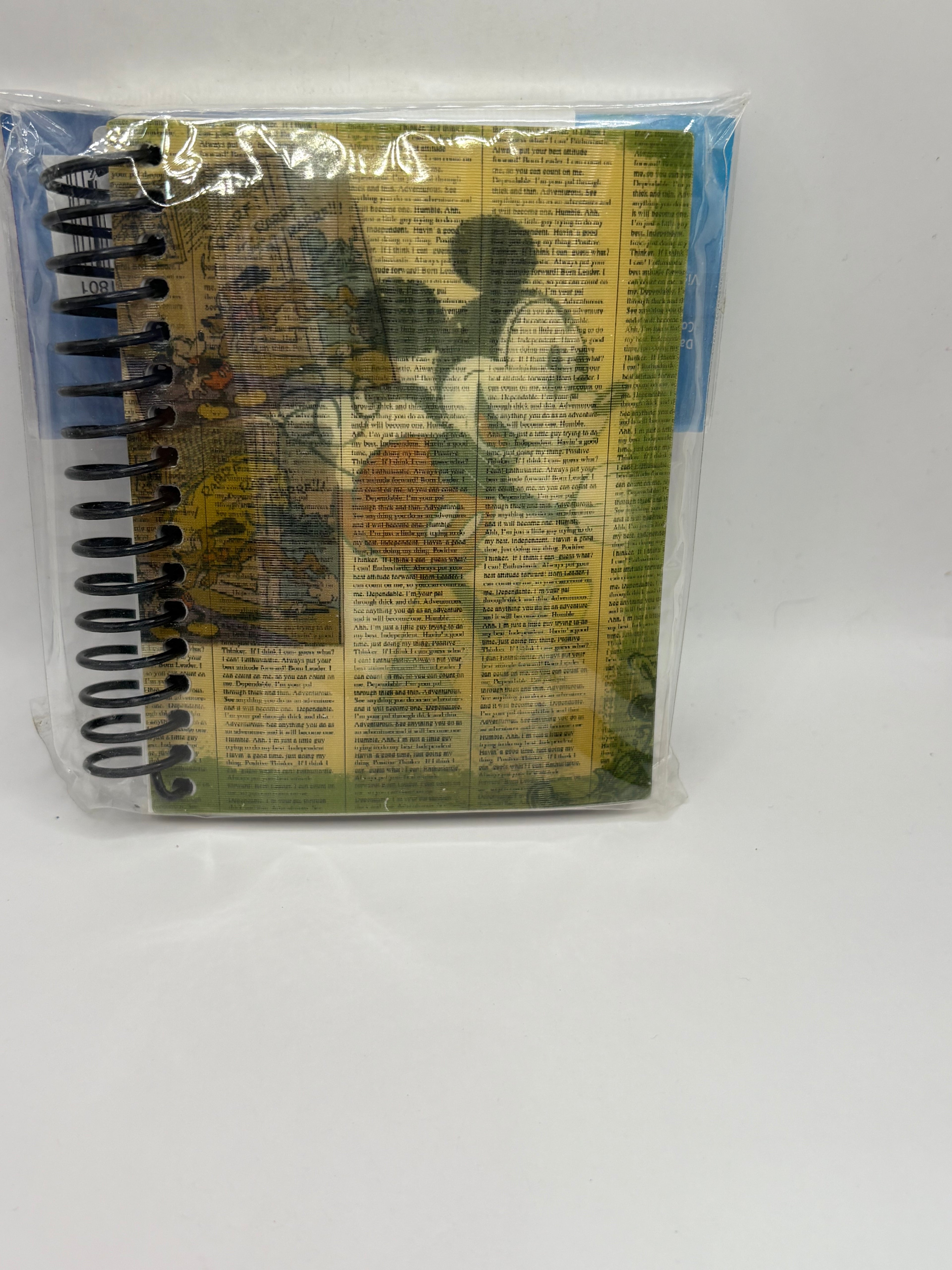 Mickey Spiral Journal